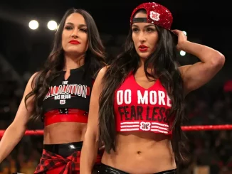 Nikki und Brie Bella als The Bella Twins im Ring.