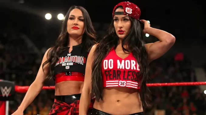 Nikki und Brie Bella als The Bella Twins im Ring.