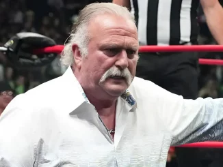 Jake Roberts steht am Ring und sieht ernst aus