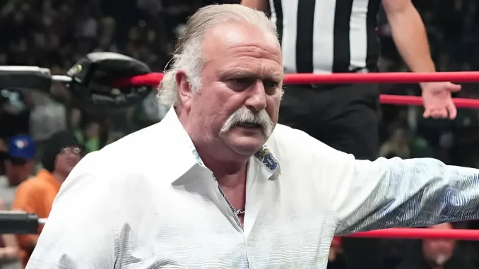 Jake Roberts steht am Ring und sieht ernst aus