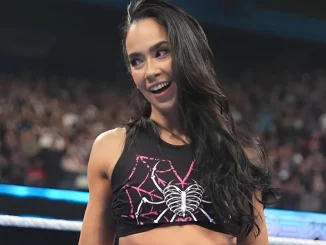 AJ Lee steht bei SmackDown im Ring