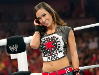 AJ Lee trägt ein CM Punk Outfit im Ring