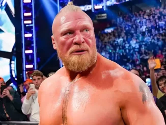 Brock Lesnar blickt zurück in den Ring