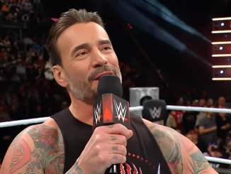 CM Punk hält eine In-Ring Promo vor den Fans