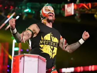 Rey Mysterio lässt sich im Ring vom WWE Publikum feiern