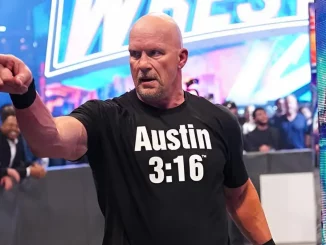 Steve Austin zeigt mit seinem Finger in die Zuschauermenge bei WrestleMania