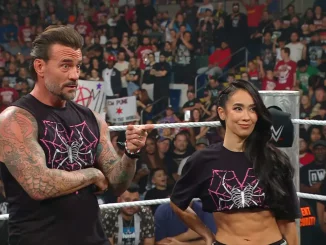 CM Punk und AJ Lee stehen zusammen im WWE Ring