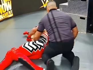 Penta liegt vor dem Ring bei einem Referee