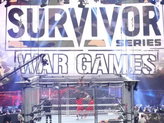 WWE Survivor Series WarGames Arena mit Steel Cage