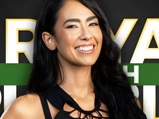 AJ Lee vor dem offiziellen WWE Royal Rumble Logo