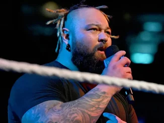 Bray Wyatt steht im Ring und hält für seine Rede ein Mikrofon in der Hand
