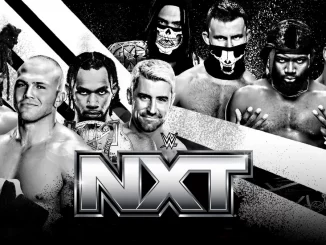 Diverse WWE NXT Superstars