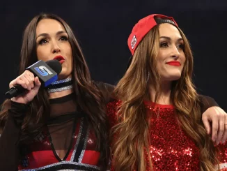 Bella Twins stehen zusammen im Ring