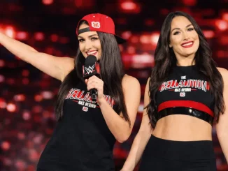 The Bella Twins stehen lächelnd auf der Stage