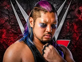 Japanischer Wrestler Evil bei WWE
