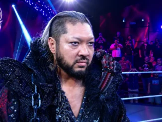 Evil steht bei WWE NXT im Ring