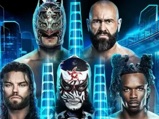 Alle Teilnehmer des WWE Intercontinental Ladder Matches bei WrestleMania