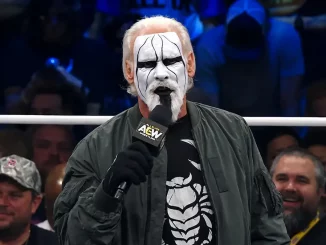 Sting im Ring mit dem AEW-Mikrofon