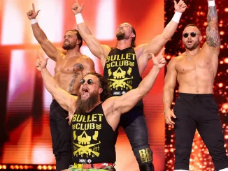 Bullet Club feiern sich auf der Stage