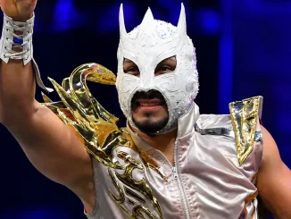 Komander steht im Ring und erhebt seine Hand