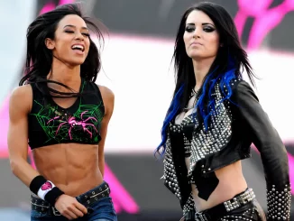 AJ Lee und Paige gemeinsam auf der Stage