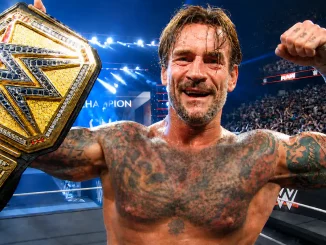 CM Punk triumphiert mit seinem gewonnenen Undisputed WWE Champion Belt im Ring