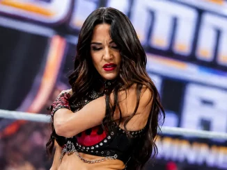Brie Bella greift sich voller Schmerzen an die Schulter