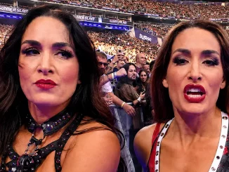 Bire und Nikki Bella vor den Fans beim SummerSlam