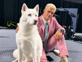 Cody Rhodes sitzt backstage in einem rosafarbenen Anzug neben seinem weißen Hund Pharaoh, der mit vollständig sichtbaren Ohren im Vordergrund in die Ferne blickt